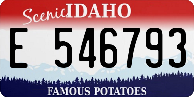 ID license plate E546793