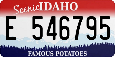 ID license plate E546795