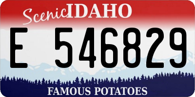 ID license plate E546829