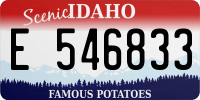 ID license plate E546833