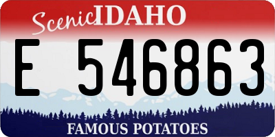 ID license plate E546863