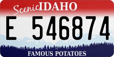 ID license plate E546874