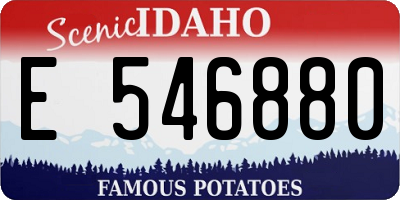 ID license plate E546880