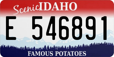 ID license plate E546891
