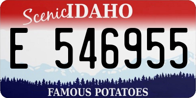 ID license plate E546955