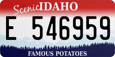 ID license plate E546959