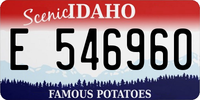 ID license plate E546960
