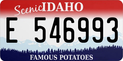ID license plate E546993