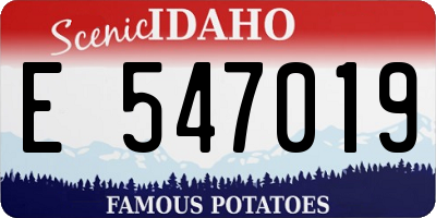 ID license plate E547019