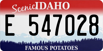 ID license plate E547028