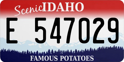 ID license plate E547029