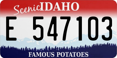 ID license plate E547103