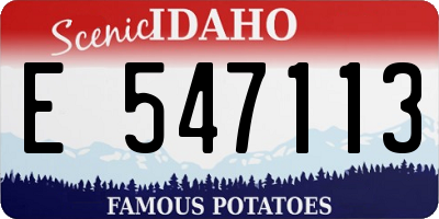 ID license plate E547113