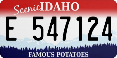 ID license plate E547124
