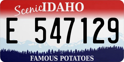 ID license plate E547129