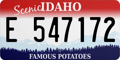 ID license plate E547172
