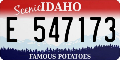 ID license plate E547173