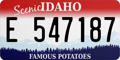 ID license plate E547187