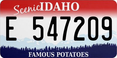 ID license plate E547209