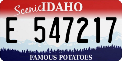 ID license plate E547217