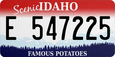ID license plate E547225