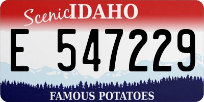 ID license plate E547229