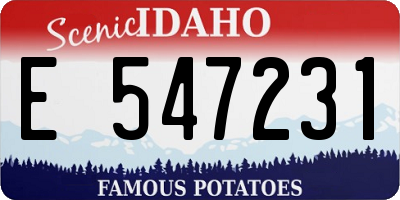 ID license plate E547231