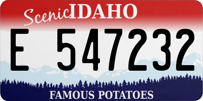ID license plate E547232
