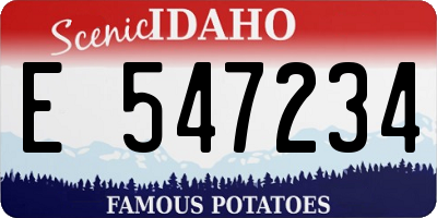 ID license plate E547234