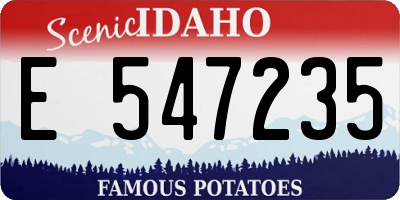 ID license plate E547235
