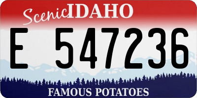 ID license plate E547236