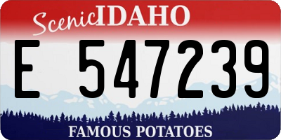 ID license plate E547239