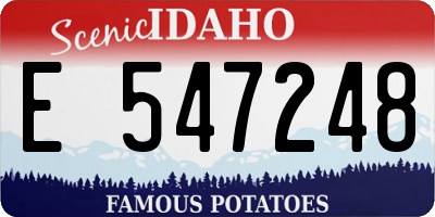 ID license plate E547248