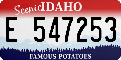 ID license plate E547253