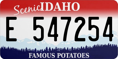 ID license plate E547254