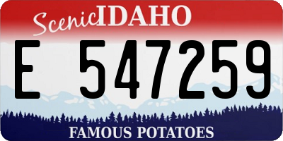 ID license plate E547259