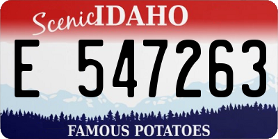 ID license plate E547263