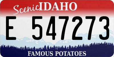ID license plate E547273