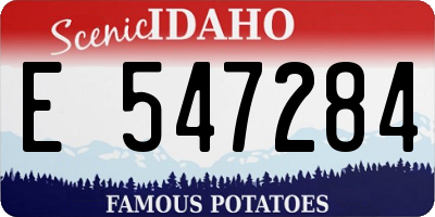 ID license plate E547284