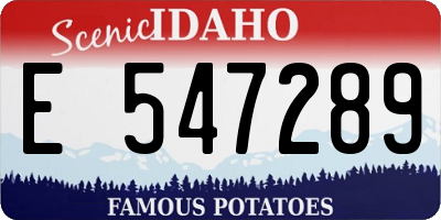 ID license plate E547289