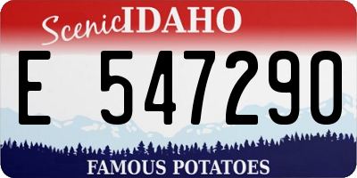 ID license plate E547290