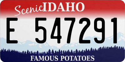 ID license plate E547291
