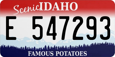 ID license plate E547293
