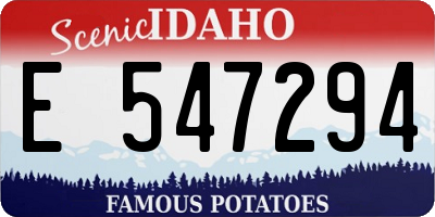ID license plate E547294