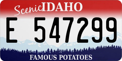 ID license plate E547299