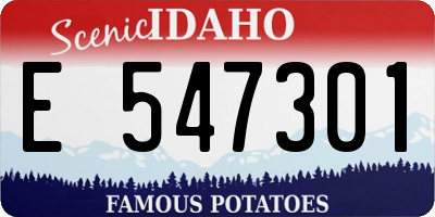 ID license plate E547301