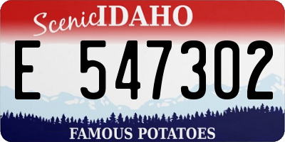 ID license plate E547302