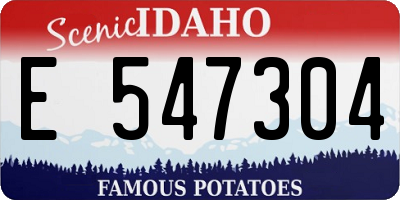 ID license plate E547304