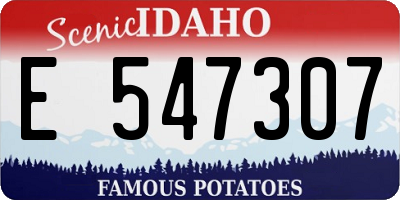 ID license plate E547307
