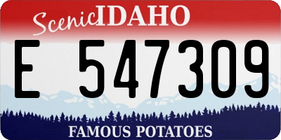 ID license plate E547309